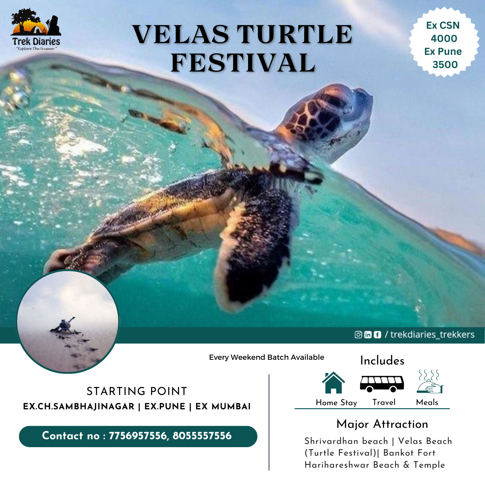 Velas Turtle Festival 